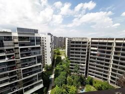 d'Nest (D18), Condominium #501512871